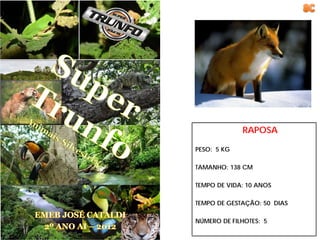 RAPOSA

PESO: 5 KG

TAMANHO: 138 CM

TEMPO DE VIDA: 10 ANOS

TEMPO DE GESTAÇÃO: 50 DIAS

NÚMERO DE FILHOTES: 5
 