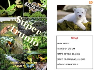 URSO

PESO: 390 KG

TAMANHO: 210 CM

TEMPO DE VIDA: 25 ANOS

TEMPO DE GESTAÇÃO: 255 DIAS

NÚMERO DE FILHOTES: 2
 