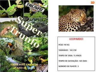 LEOPARDO

PESO: 90 KG

TAMANHO: 165 CM

TEMPO DE VIDA: 15 ANOS

TEMPO DE GESTAÇÃO: 105 DIAS

NÚMERO DE FILHOTE: 3
 
