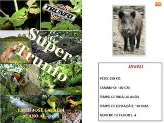 JAVALI

PESO: 250 KG

TAMANHO: 180 CM

TEMPO DE VIDA: 20 ANOS

TEMPO DE GESTAÇÃO: 140 DIAS

NÚMERO DE FILHOTES: 4
 