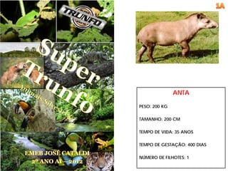 ANTA

PESO: 200 KG

TAMANHO: 200 CM

TEMPO DE VIDA: 35 ANOS

TEMPO DE GESTAÇÃO: 400 DIAS

NÚMERO DE FILHOTES: 1
 