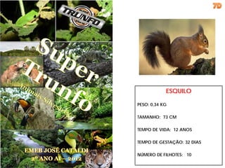 ESQUILO

PESO: 0,34 KG

TAMANHO: 73 CM

TEMPO DE VIDA: 12 ANOS

TEMPO DE GESTAÇÃO: 32 DIAS

NÚMERO DE FILHOTES: 10
 