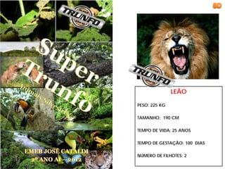 LEÃO

PESO: 225 KG

TAMANHO: 190 CM

TEMPO DE VIDA: 25 ANOS

TEMPO DE GESTAÇÃO: 100 DIAS

NÚMERO DE FILHOTES: 2
 