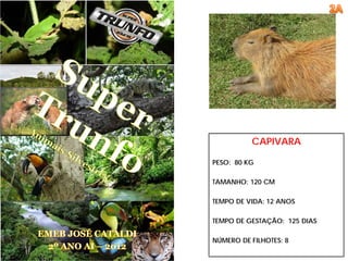 CAPIVARA

PESO: 80 KG

TAMANHO: 120 CM

TEMPO DE VIDA: 12 ANOS

TEMPO DE GESTAÇÃO: 125 DIAS

NÚMERO DE FILHOTES: 8
 