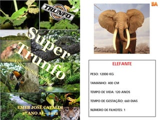 ELEFANTE

PESO: 12000 KG

TAMANHO: 400 CM

TEMPO DE VIDA: 120 ANOS

TEMPO DE GESTAÇÃO: 660 DIAS

NÚMERO DE FILHOTES: 1
 