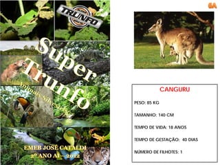CANGURU

PESO: 85 KG

TAMANHO: 140 CM

TEMPO DE VIDA: 18 ANOS

TEMPO DE GESTAÇÃO: 40 DIAS

NÚMERO DE FILHOTES: 1
 