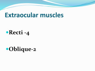 Extraocular muscles
Recti -4
Oblique-2