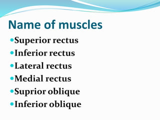 Name of muscles
Superior rectus
Inferior rectus
Lateral rectus
Medial rectus
Suprior oblique
Inferior oblique