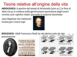 Teorie relative all’origine della vita
ABIOGENESI- A partire dai tempi di Aristotele (400 a.C.) e fino al
1600 circa; si credeva nella generazione spontanea degli esseri
viventi; uno «spirito vitale» pervade la materia inanimata
Jean Baptiste Van Helmont:
ricetta per creare topi

BIOGENESI- 1668 Francesco Redi: la vita deriva solo da vita
preesistente

 