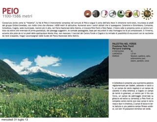 mercoledì 31 luglio 13
 