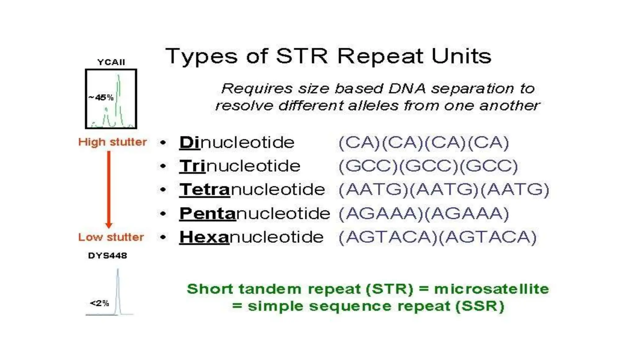 str vntr.pptx