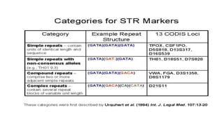 Str Analysis Process Map str vntr.pptx