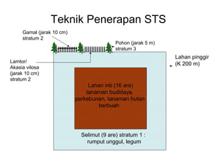 Teknik Penerapan STS
Lahan inti (16 are)
tanaman budidaya,
perkebunan, tanaman hutan
berbuah
Selimut (9 are) stratum 1 :
rumput unggul, legum
Lahan pinggir
(K 200 m)
Pohon (jarak 5 m)
stratum 3
Gamal (jarak 10 cm)
stratum 2
Lamtor/
Akasia vilosa
(jarak 10 cm)
stratum 2
 