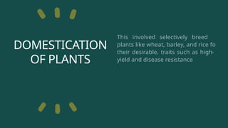 DOMESTICATION
OF PLANTS
This involved selectively breeding.
plants like wheat, barley, and rice for
their desirable. traits such as higher
yield and disease resistance.
 