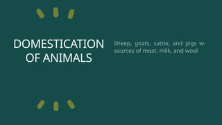 DOMESTICATION
OF ANIMALS
Sheep, goats, cattle, and pigs were
sources of meat, milk, and wool.
 