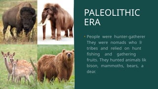PALEOLITHIC
ERA
• People were hunter-gatherers.
They were nomads who lived
tribes and relied on hunting,
fishing and gathering wild
fruits. They hunted animals like
bison, mammoths, bears, and
dear.
 