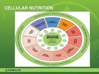 CELLULAR NUTRITION




                     35
 
