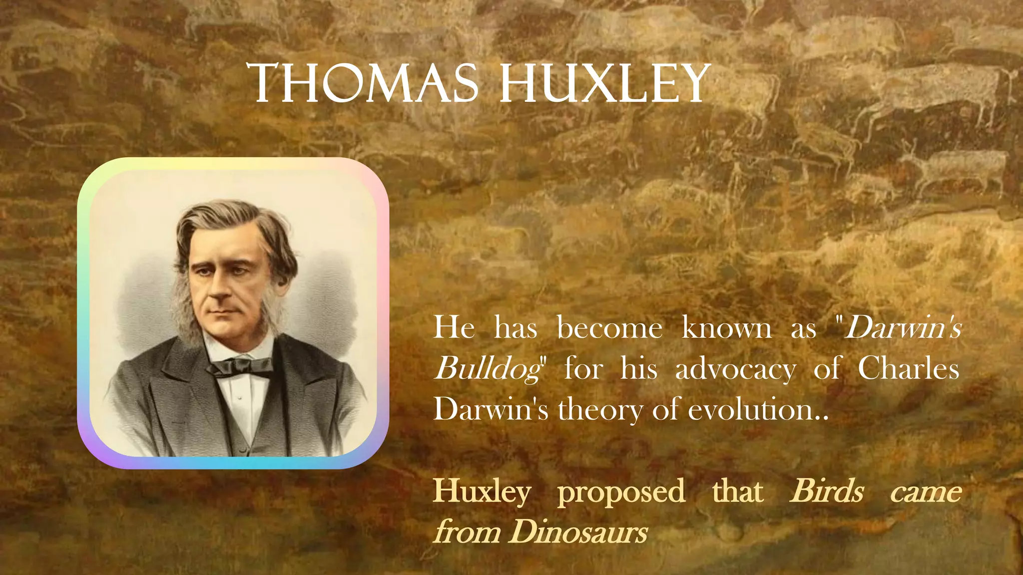 Thomas Huxley
He has become known as "Darwin's
Bulldog" for his advocacy of Charles
Darwin's theory of evolution..
Huxley proposed that Birds came
from Dinosaurs
 