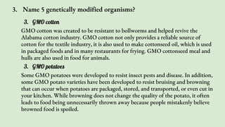 3. Name 5 genetically modified organisms?
3. GMO cotton
GMO cotton was created to be resistant to bollworms and helped revive the
Alabama cotton industry. GMO cotton not only provides a reliable source of
cotton for the textile industry, it is also used to make cottonseed oil, which is used
in packaged foods and in many restaurants for frying. GMO cottonseed meal and
hulls are also used in food for animals.
3. GMO potatoes
Some GMO potatoes were developed to resist insect pests and disease. In addition,
some GMO potato varieties have been developed to resist bruising and browning
that can occur when potatoes are packaged, stored, and transported, or even cut in
your kitchen. While browning does not change the quality of the potato, it often
leads to food being unnecessarily thrown away because people mistakenly believe
browned food is spoiled.
 