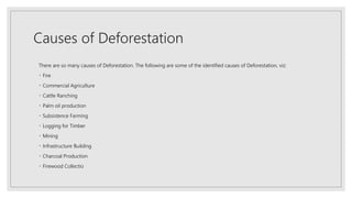 Causes of Deforestation
There are so many causes of Deforestation. The following are some of the identified causes of Deforestation, viz:
Fire
Commercial Agriculture
Cattle Ranching
Palm oil production
Subsistence Farming
Logging for Timber
Mining
Infrastructure Building
Charcoal Production
Firewood Collectio
 
