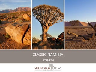 CLASSIC NAMIBIA 
STSNE14 
 