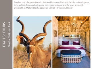 DAY 13: THURS 
Etosha National Park 
Another day of explorations in this world-famous National Park in a closed game 
drive vehicle (open vehicle game drives are optional and for own account). 
Overnight at Mokuti Etosha Lodge or similar. [Breakfast, Dinner] 
 