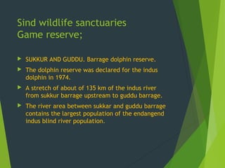 Sind wildlife sanctuaries
Game reserve;
 SUKKUR AND GUDDU. Barrage dolphin reserve.
 The dolphin reserve was declared for the indus
dolphin in 1974.
 A stretch of about of 135 km of the indus river
from sukkur barrage upstream to guddu barrage.
 The river area between sukkar and guddu barrage
contains the largest population of the endangend
indus blind river population.
 