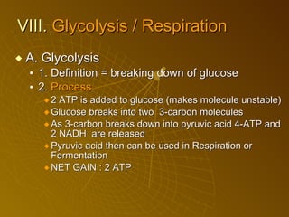 VIII.  Glycolysis  / Respiration A. Glycolysis 1. Definition = breaking down of glucose 2.  Process 2 ATP is added to glucose (makes molecule unstable) Glucose breaks into two  3-carbon molecules As 3-carbon breaks down into pyruvic acid 4-ATP and 2 NADH  are released Pyruvic acid then can be used in Respiration or Fermentation NET GAIN : 2 ATP 