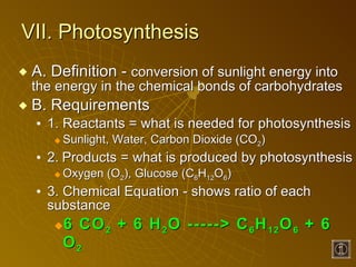 VII. Photosynthesis A. Definition -  conversion of sunlight energy into the energy in the chemical bonds of carbohydrates B. Requirements  1. Reactants = what is needed for photosynthesis Sunlight, Water, Carbon Dioxide (CO 2 ) 2.   Products = what is produced by photosynthesis Oxygen (O 2 ), Glucose (C 6 H 12 O 6 ) 3. Chemical Equation - shows ratio of each substance 6 CO 2  + 6 H 2 O -----> C 6 H 12 O 6  + 6 O 2   