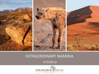 EXTRAORDINARY NAMIBIA 
STSVNE10 
 