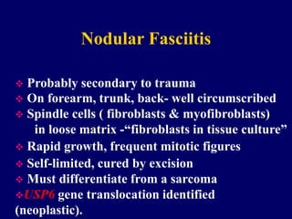 Nodular Fasciitis
 Probably secondary to trauma
 On forearm, trunk, back- well circumscribed
 Spindle cells ( fibroblasts & myofibroblasts)
in loose matrix -“fibroblasts in tissue culture”
 Rapid growth, frequent mitotic figures
 Self-limited, cured by excision
 Must differentiate from a sarcoma
USP6 gene translocation identified
(neoplastic).
 