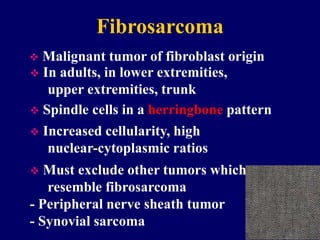 Fibrosarcoma
 Malignant tumor of fibroblast origin
 In adults, in lower extremities,
upper extremities, trunk
 Increased cellularity, high
nuclear-cytoplasmic ratios
 Spindle cells in a herringbone pattern
 Must exclude other tumors which
resemble fibrosarcoma
- Peripheral nerve sheath tumor
- Synovial sarcoma
 