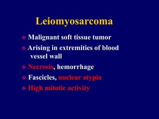 Leiomyosarcoma
 Malignant soft tissue tumor
 Arising in extremities of blood
vessel wall
 Necrosis, hemorrhage
 Fascicles, nuclear atypia
 High mitotic activity
 