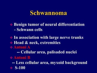Schwannoma
 Benign tumor of neural differentiation
- Schwann cells
 Antoni A
 Antoni B
 In association with large nerve trunks
 Head & neck, extremities
-- Cellular area, palisaded nuclei
-- Less cellular area, myxoid background
 S-100
 