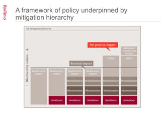 A framework of policy underpinned by
mitigation hierarchy
 
