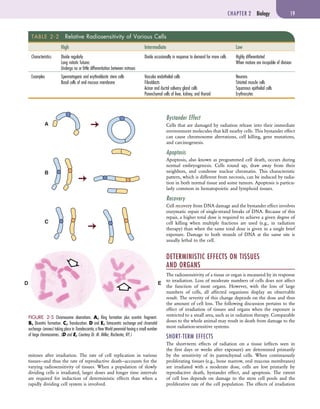 [Stuart_C._White,_Michael_J._Pharoah]_Oral_Radiolo(b-ok.xyz).pdf