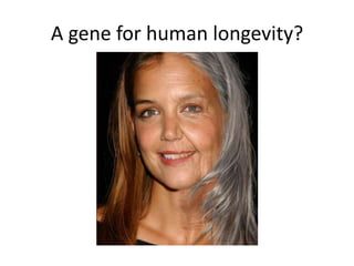 A gene for human longevity?
 