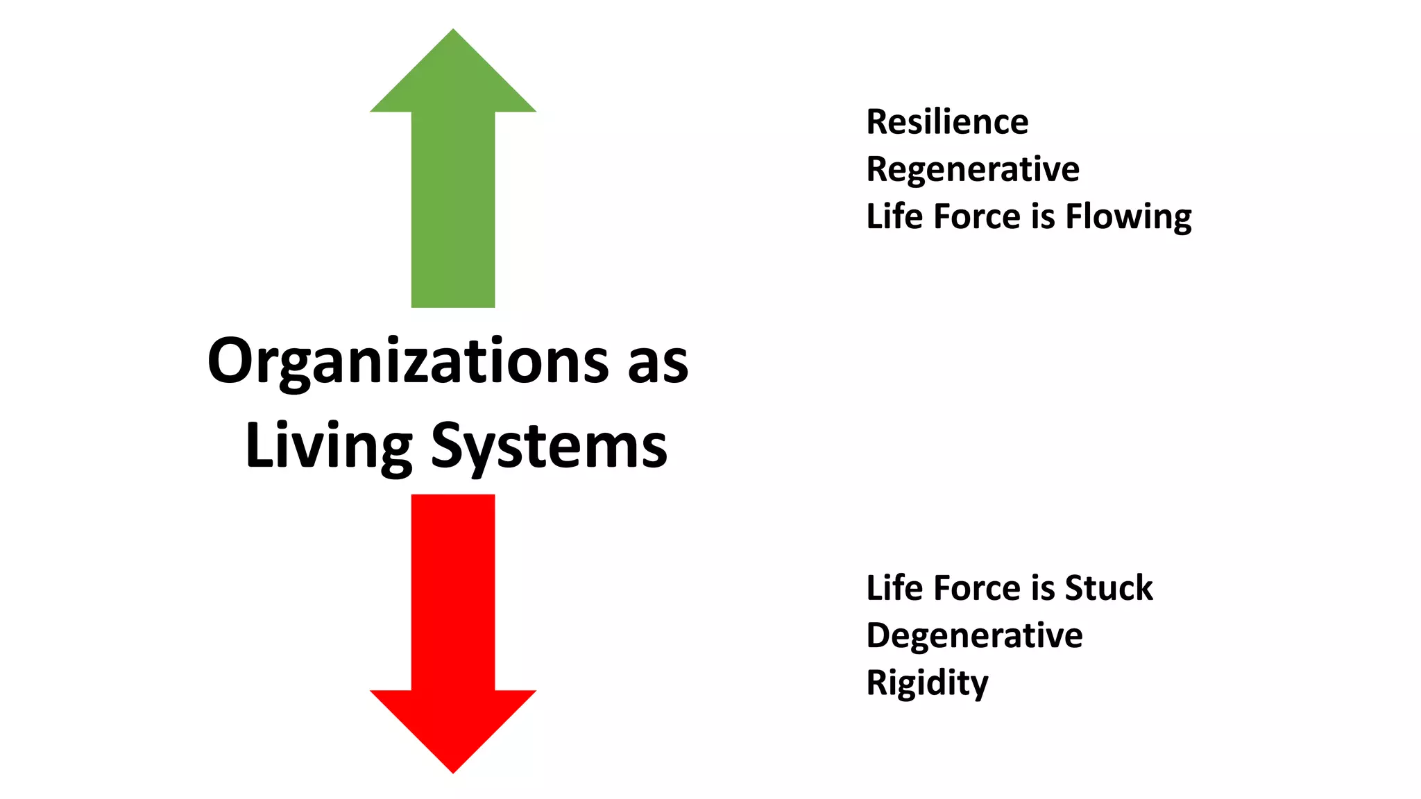Trauma in Organizations - Webinar | PDF