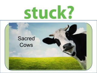 Sacred Cows
Sacred
Cows
 