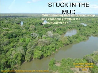 STUCK IN THE
MUDWhat is holding back entrepreneurship
and economic growth in the
agricultural world?
Juan Pablo Hurtado L.
Pereira, Colombia
2013Image: Brazilian Pantanal Landscape (J.P. Hurtado 2013).
 