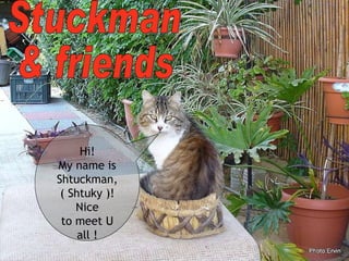 Stuckman  & friends Hi! My name is Shtuckman, ( Shtuky )! Nice to meet U all ! 