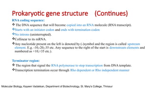 Stucture of Gene - Basic Structure DNA and RNA | PPTX
