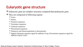 Stucture of Gene - Basic Structure DNA and RNA | PPTX