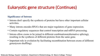 Stucture of Gene - Basic Structure DNA and RNA | PPTX