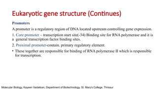 Stucture of Gene - Basic Structure DNA and RNA | PPTX