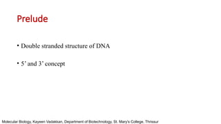 Stucture of Gene - Basic Structure DNA and RNA | PPTX