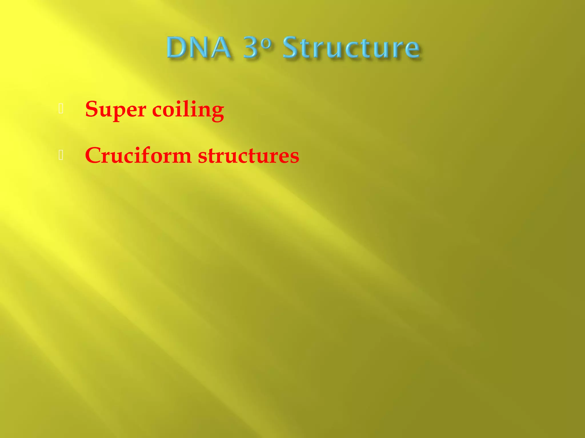 

Super coiling



Cruciform structures

 