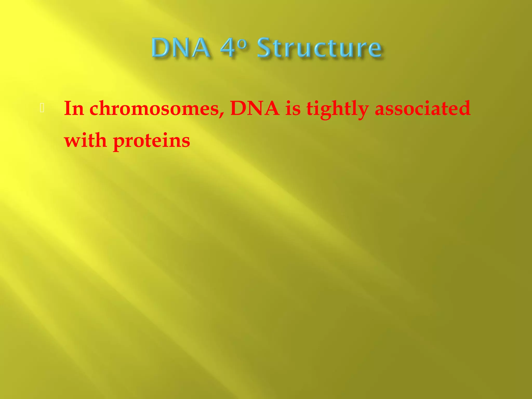 

In chromosomes, DNA is tightly associated
with proteins

 
