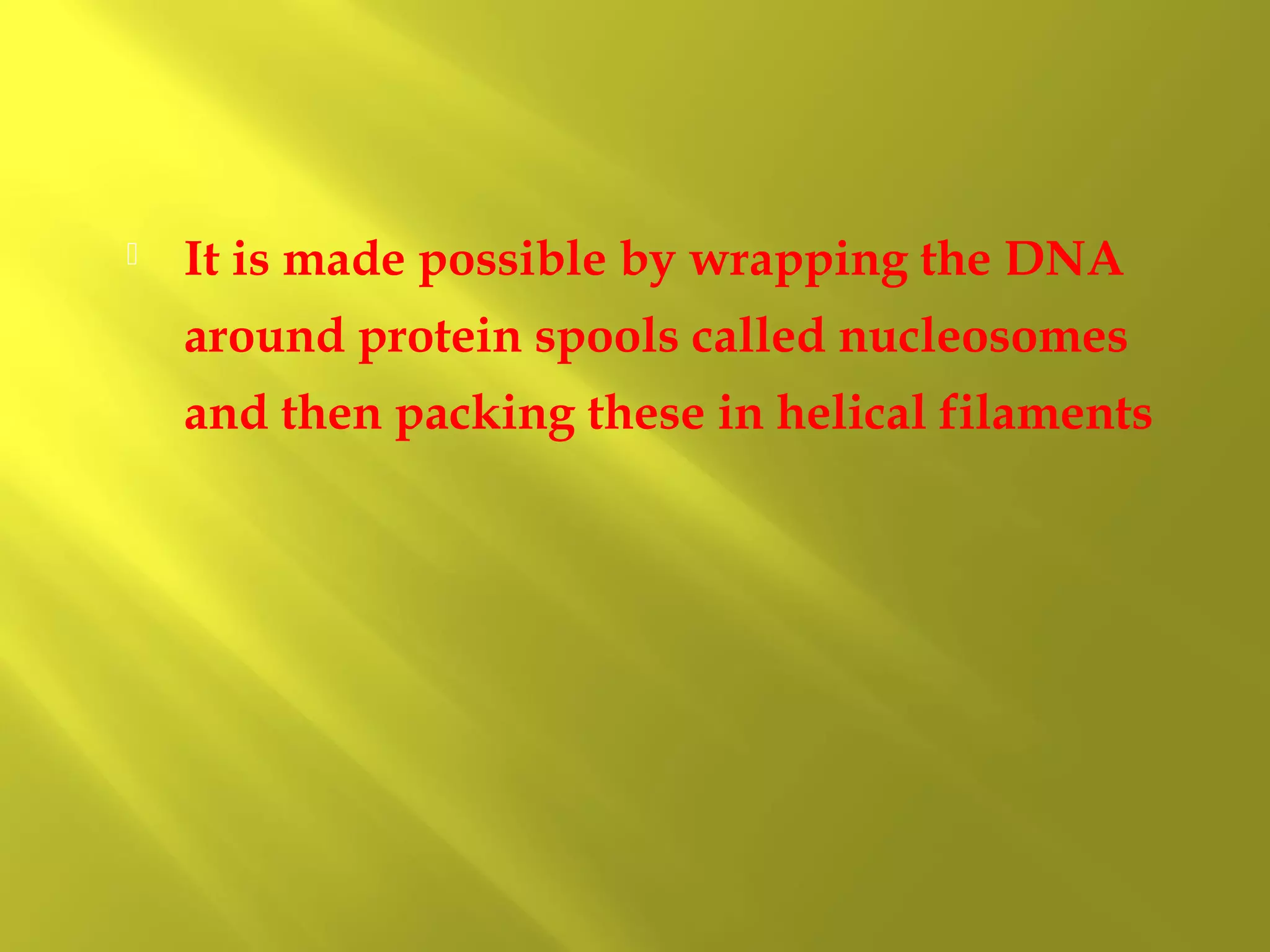

It is made possible by wrapping the DNA
around protein spools called nucleosomes
and then packing these in helical filaments

 