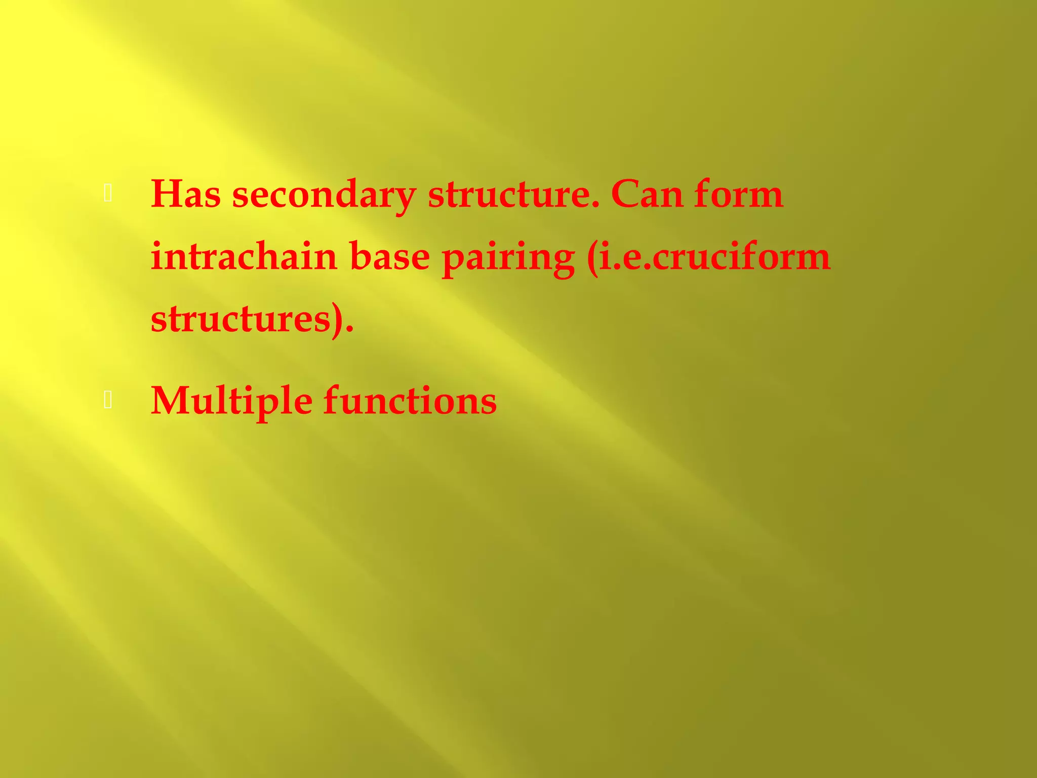 

Has secondary structure. Can form
intrachain base pairing (i.e.cruciform
structures).



Multiple functions

 